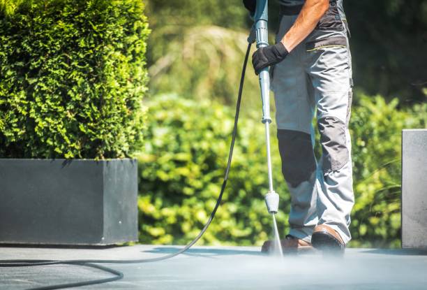 Best Spring Cleaning  in Bald Kno, AR