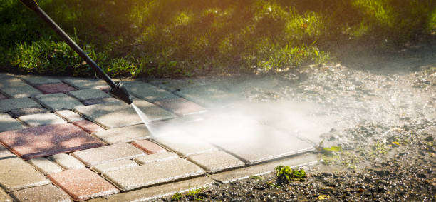 Best Solar Panel Cleaning  in Bald Kno, AR